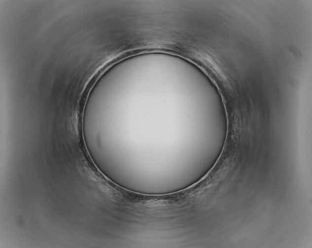 X0000112871268200909041614