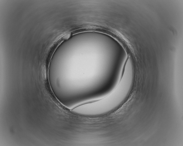 X0000112871269200909041614