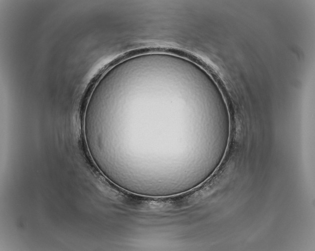 X0000112871271200909041614