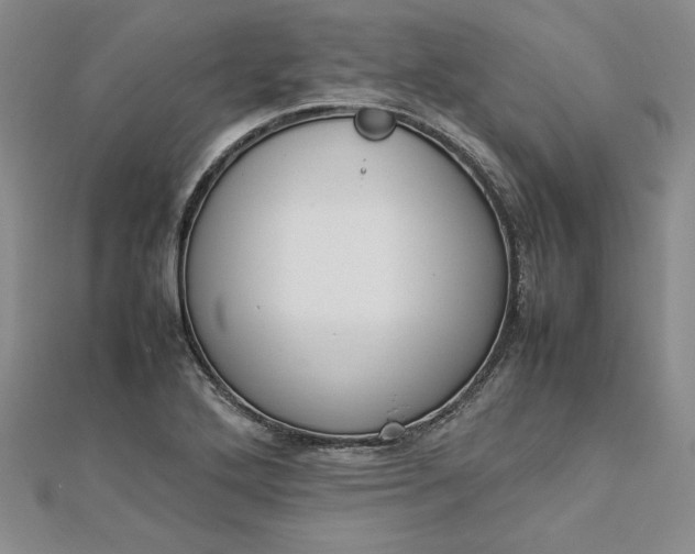 X0000112871272200909041614