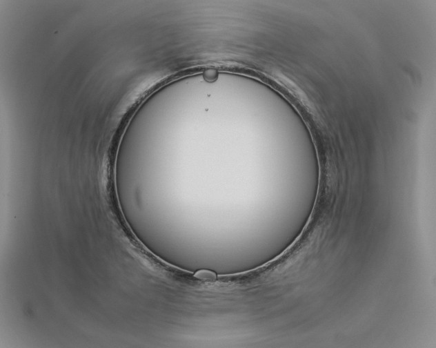 X0000112871277200909041614