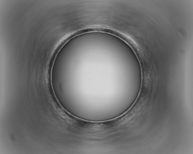 X0000112871279200909041614