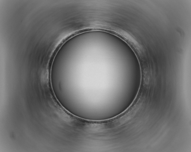 X0000112871280200909041614