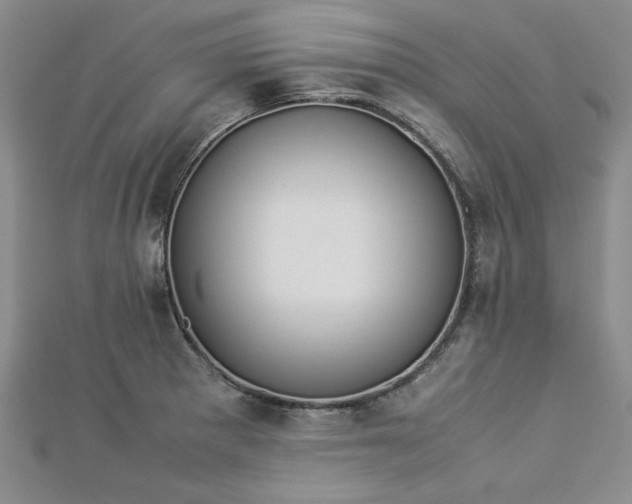 X0000112871281200909041614