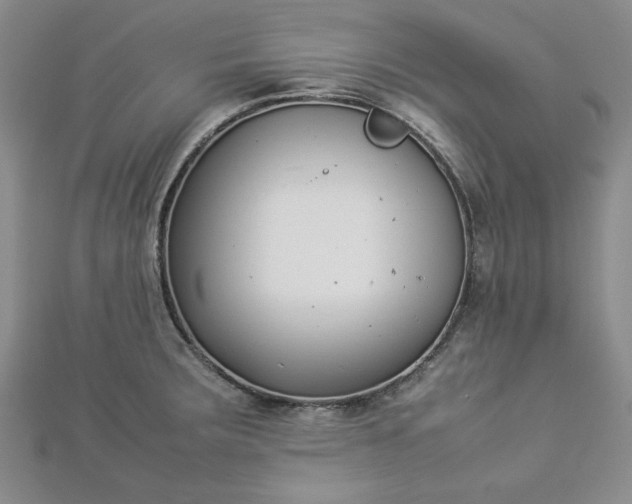 X0000112871283200909041614