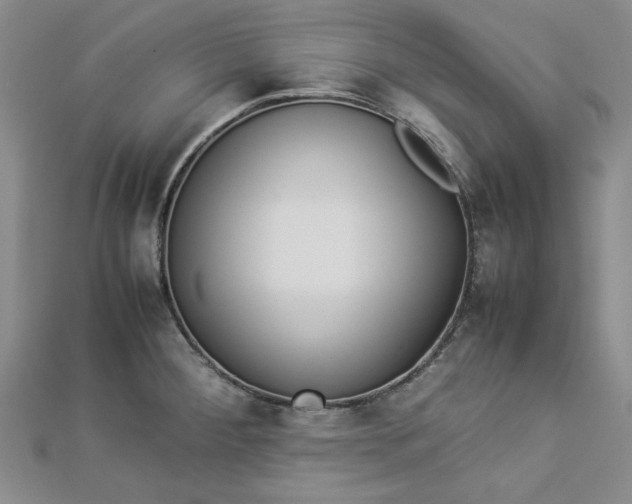 X0000112871284200909041614