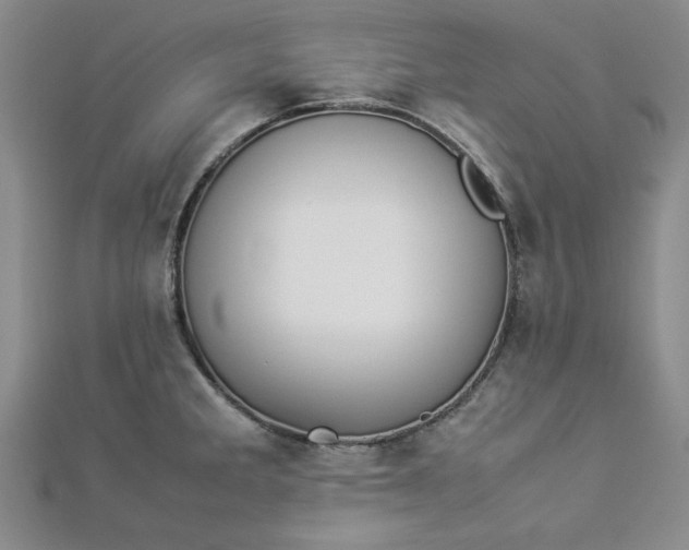 X0000112871285200909041614