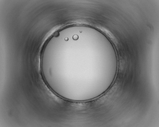 X0000112871286200909041614