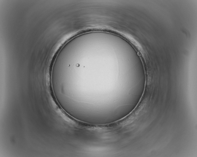 X0000112871287200909041614