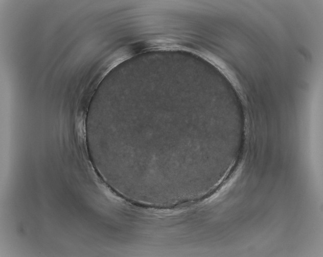 X0000112871289200909041614