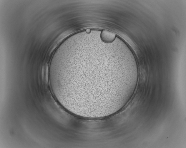 X0000112871290200909041614