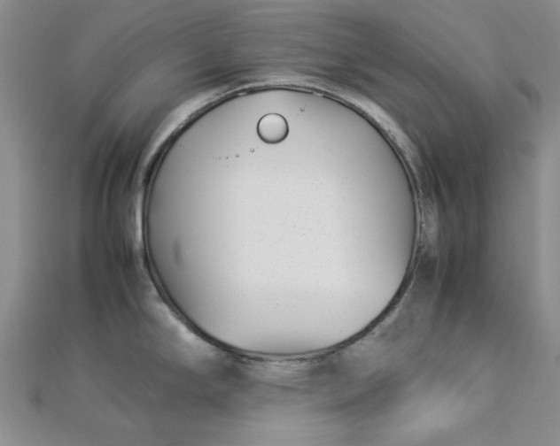 X0000112871294200909041614