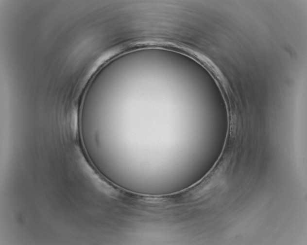 X0000112871295200909041614