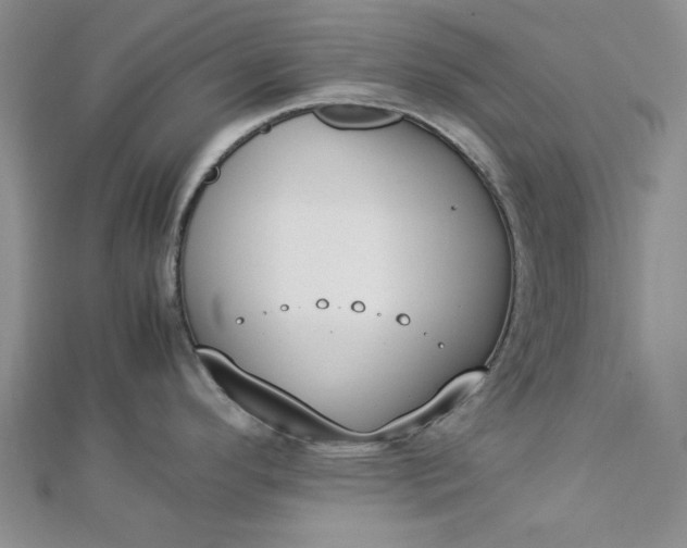 X0000112871296200909041614