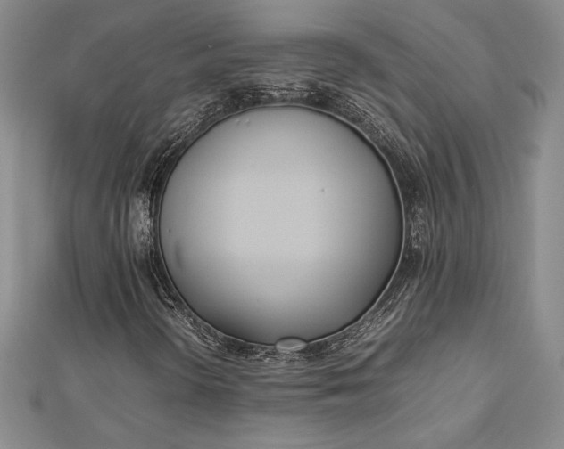 X0000112871298200909041613