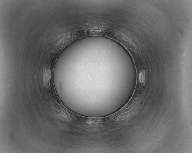 X0000112871299200909041613