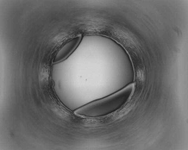 X0000112871300200909041613