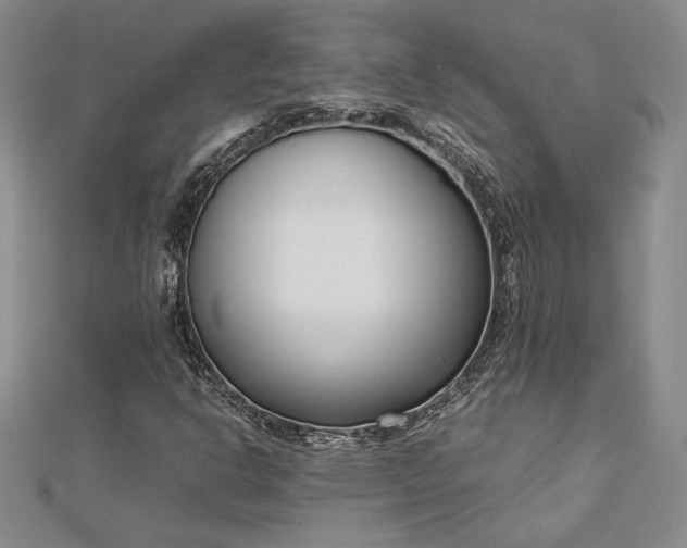 X0000112871302200909041613