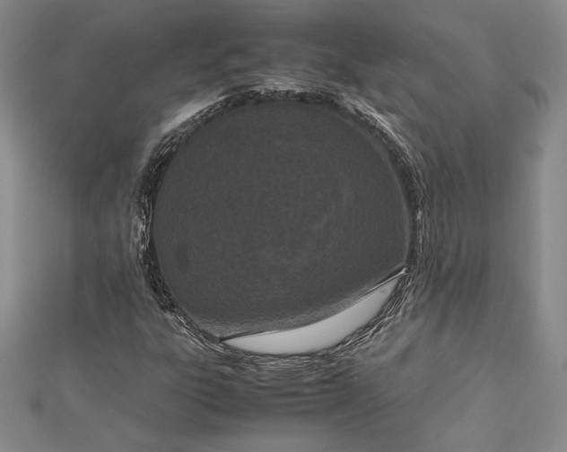 X0000112871303200909041613