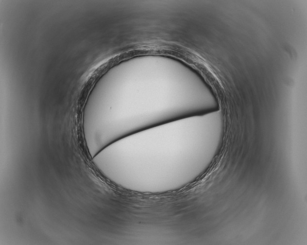 X0000112871304200909041613