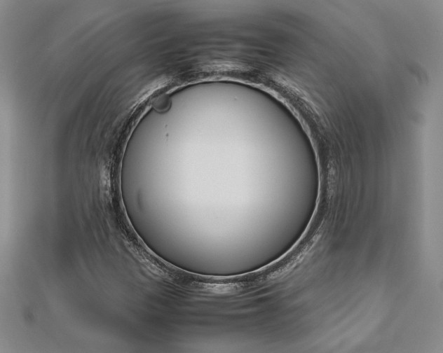 X0000112871305200909041613