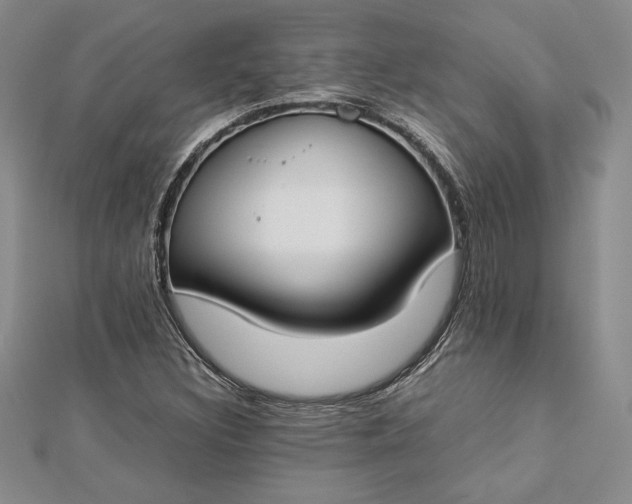 X0000112871308200909041613