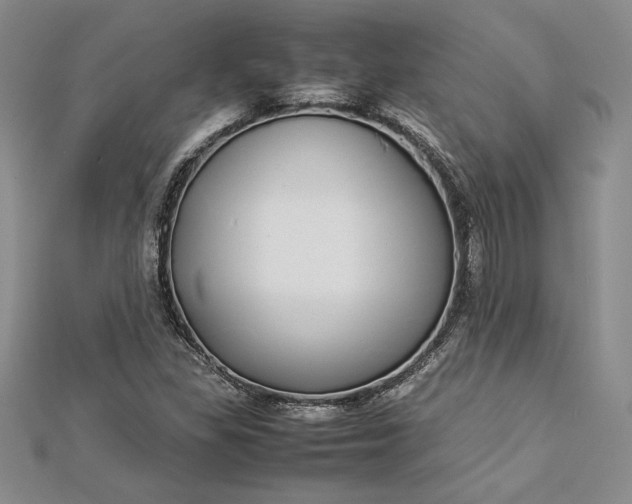 X0000112871309200909041613