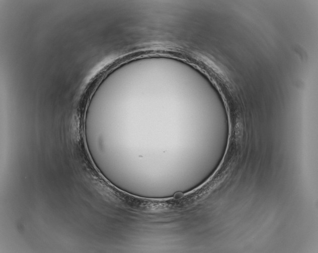 X0000112871310200909041613