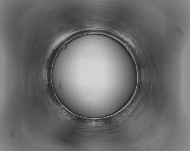 X0000112871311200909041613