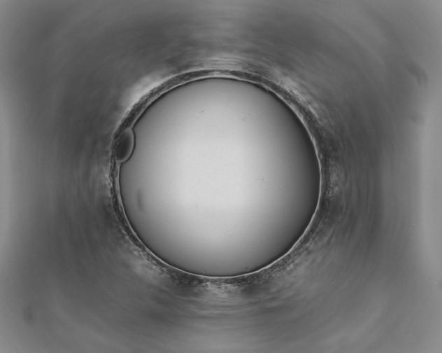 X0000112871312200909041613