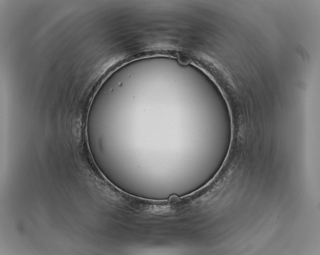 X0000112871313200909041613