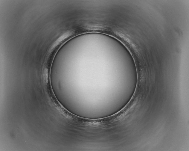 X0000112871317200909041613