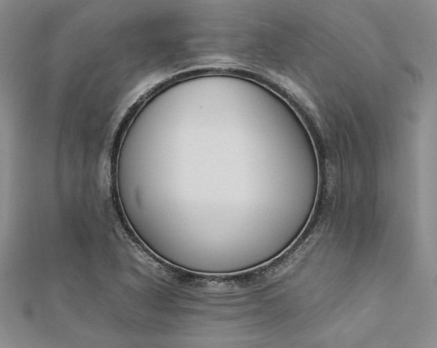 X0000112871318200909041613