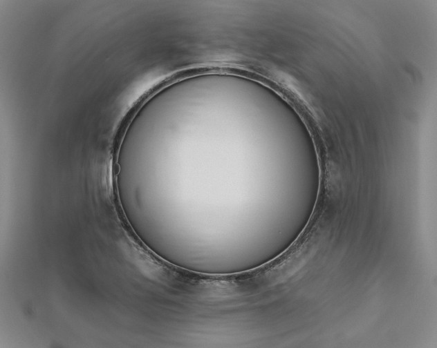 X0000112871320200909041613