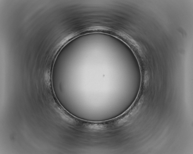 X0000112871321200909041613