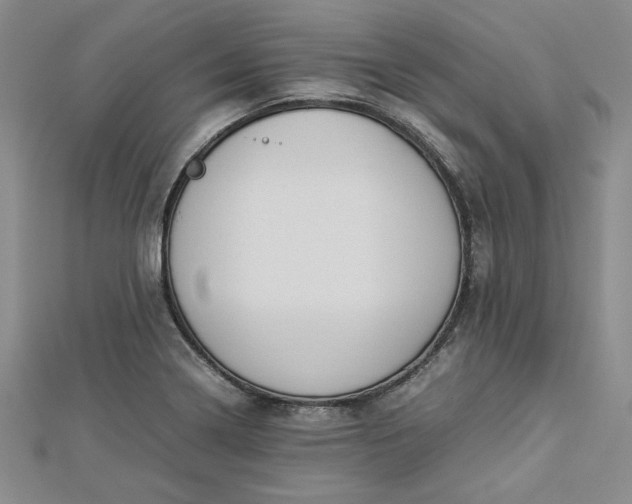 X0000112871322200909041613