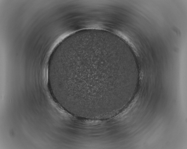 X0000112871323200909041613