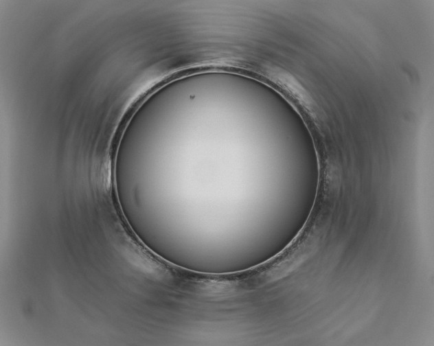 X0000112871324200909041613