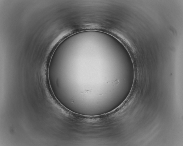 X0000112871325200909041613