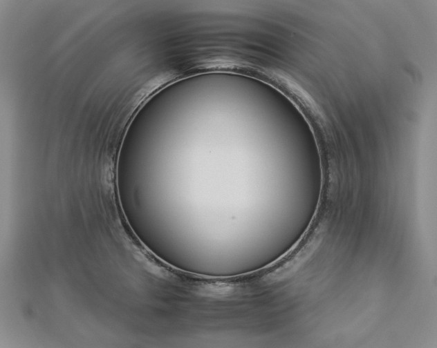 X0000112871329200909041613