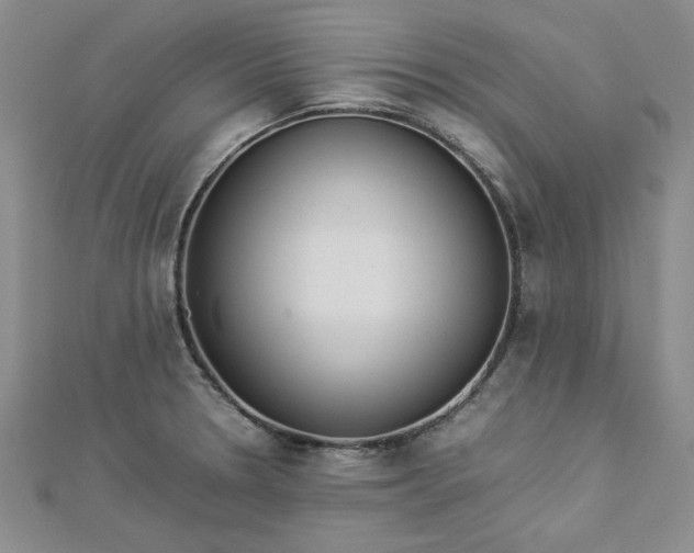 X0000112871330200909041613