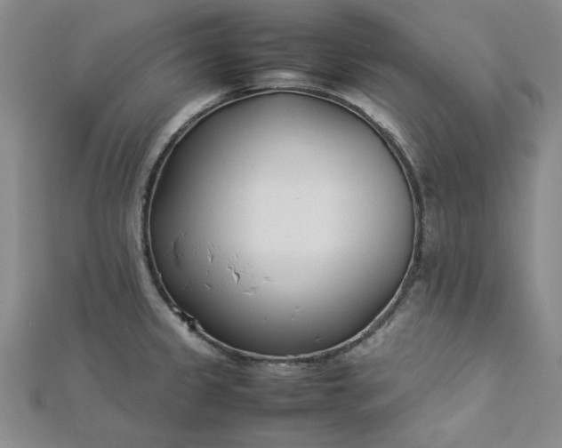 X0000112871333200909041613