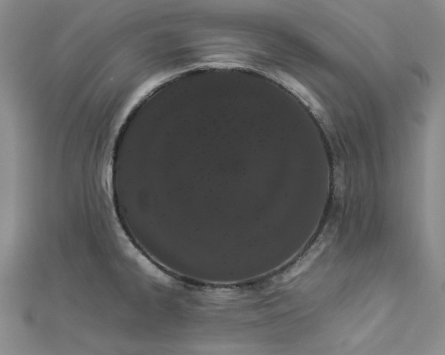 X0000112871334200909041613