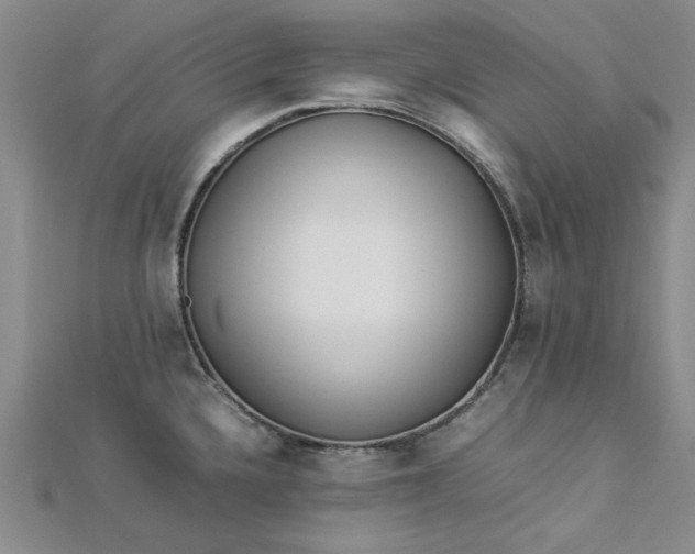 X0000112871336200909041614