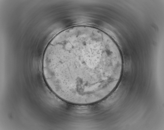 X0000112871338200909041614