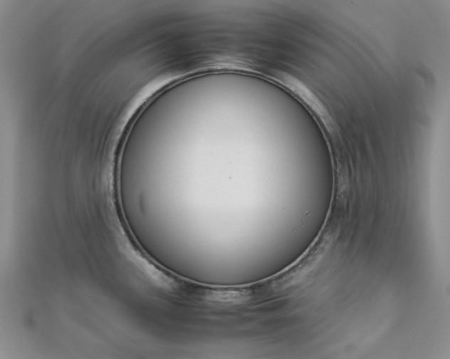 X0000112871339200909041614