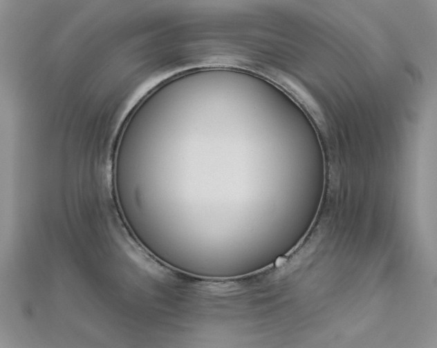 X0000112871340200909041614