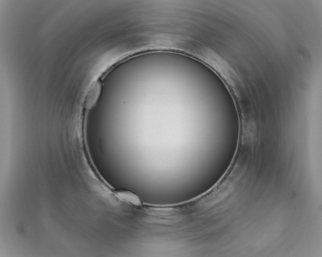 X0000112871342200909041614