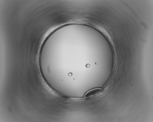 X0000112871344200909041614