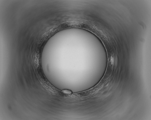 X0000112871348200909041613